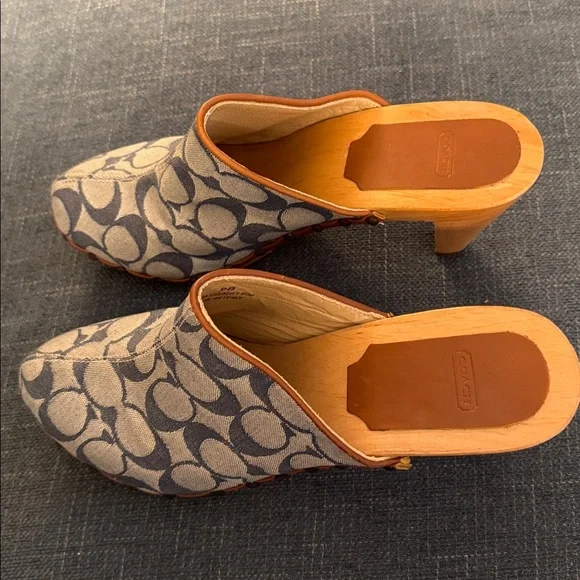 Coach Felicity slides - Picture 2 of 8